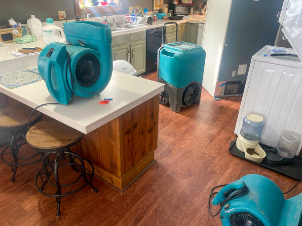 Best Professional water damage repair  in Cloverdale, CA