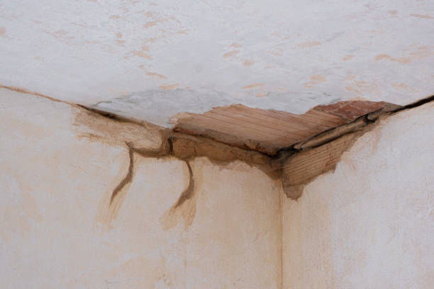 Best Local water damage restoration  in Cloverdale, CA
