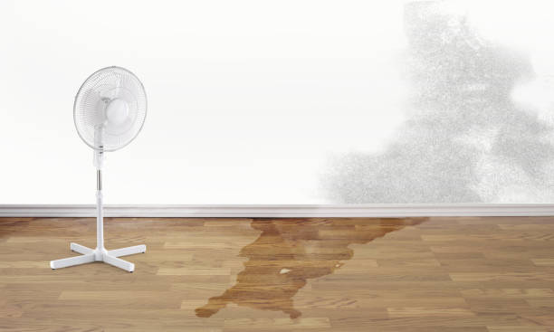 Trusted Cloverdale, CA Water damage restoration Experts
