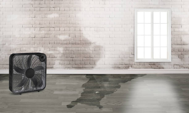 Best Residential water damage restoration  in Cloverdale, CA