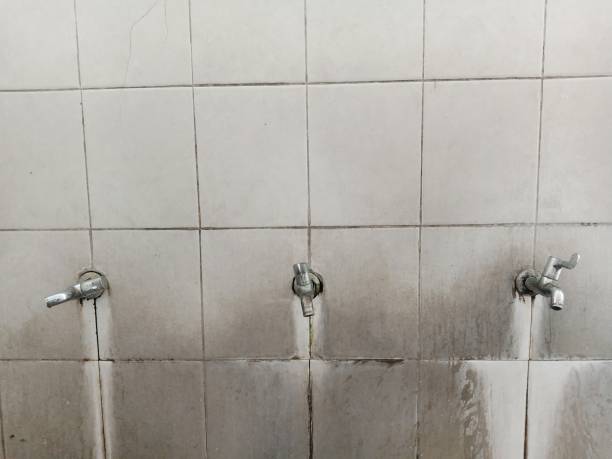 Best Sewage cleanup and water damage restoration  in Cloverdale, CA