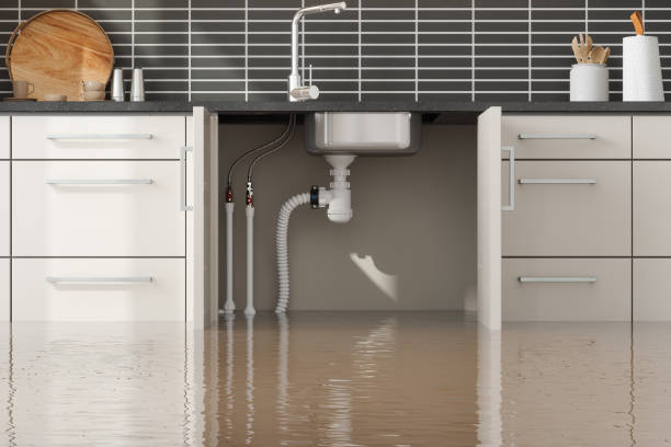 Best Water damage restoration insurance claims  in Cloverdale, CA